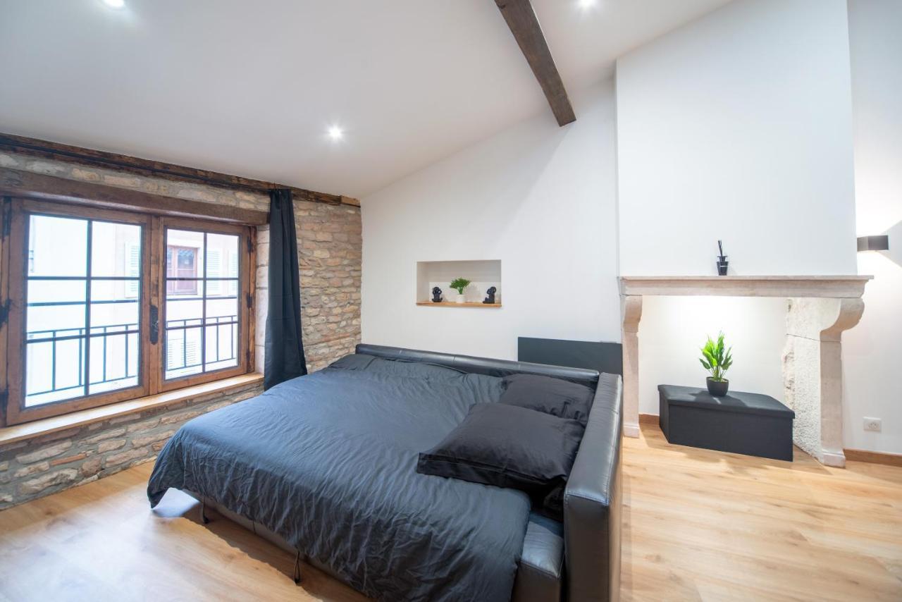 Mâcon Loft Au Coeur Du Centre Ville المظهر الخارجي الصورة